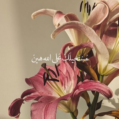اللهُم إني نويت هذا الحساب صدقة جارية لأمي فتقبله يا الله وإجعل لها بكُل حرف يُقرأ حسنة تأتيها وتنير لها قبرها وتؤنس وحشتها .