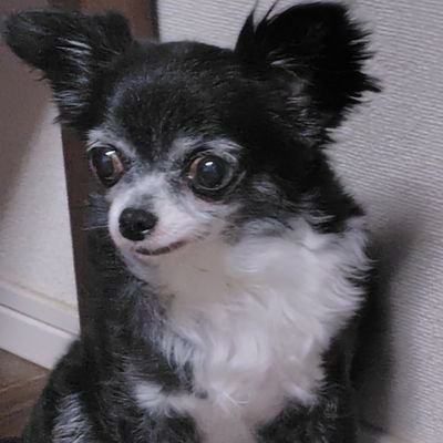qQFhdWGQcJ35581's profile picture. 