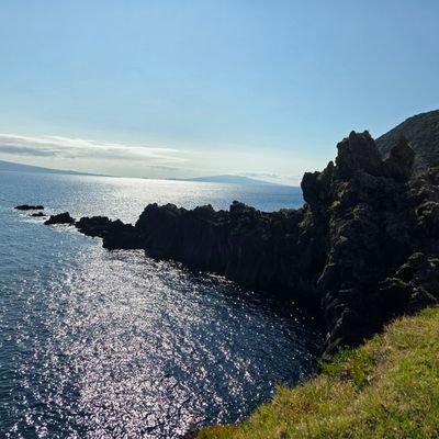 HelveticHodl's profile picture. #bitcoin & sailing ⛵️🌎🇨🇭