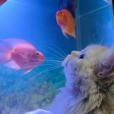 ljng182652's profile picture. 