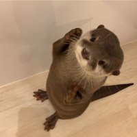 ゆん (@imsupercharming) 's Twitter Profile