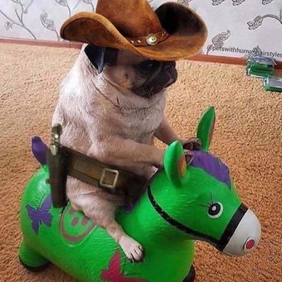 NeverenoughRR's profile picture. 🇵🇸🇨🇱في أمل