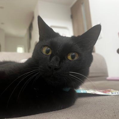 みさんのプロフィール画像