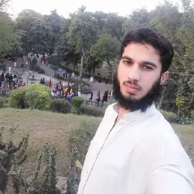 SherazK41219751's profile picture. 