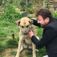 Hisse Analiz-Grafik-Kap Haber (@baymucize) 's Twitter Profile Photo