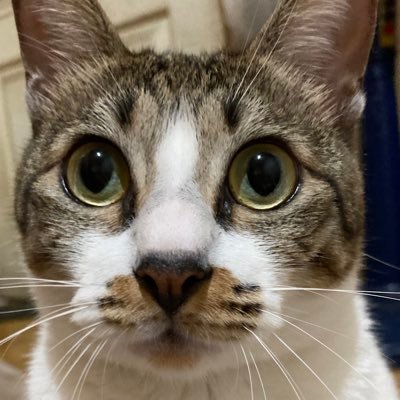 詐騙勿擾！