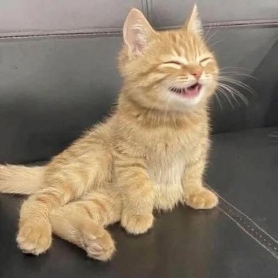 AarenAbdo's profile picture. عبدُالرَّحمٰن☁️ بإذن الله سأصبحُ الرَّجلَ الأكثرَ حريَّةً في العالم! 제국👑🖤 "..To The Empire☁️✨.."