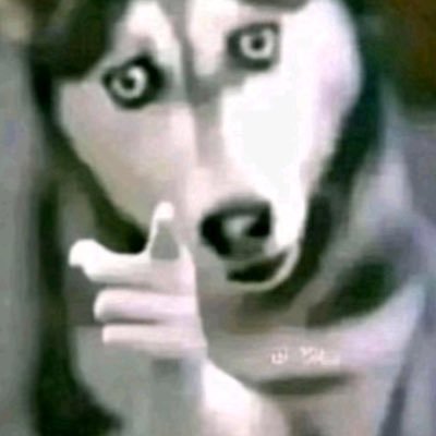 Sukisomi's profile picture. 