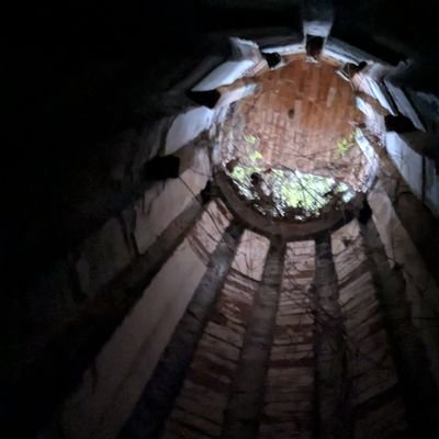 関東竜/愛知出身
20代前半学生
基本野球限定
現地は岡林の60番ユニで外野いきます
結構横幅ある男ですが仲良くして貰えると幸いです