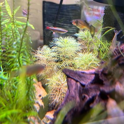 copen_0503's profile picture. 