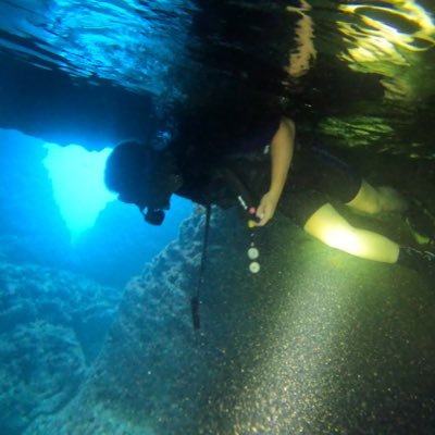 SE4LION's profile picture. Future World is Underwater 🌎Engineer and Founder building  Atlantis🌊🗽🗺️