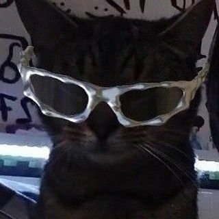 todayishaluday's profile picture. for fun guys