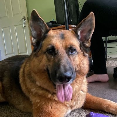 Sepheria7's profile picture. I'm a mother, and just busy being me, as best as I possibly can