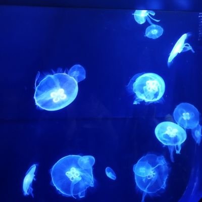 qk2WdD5AgF88522's profile picture. 