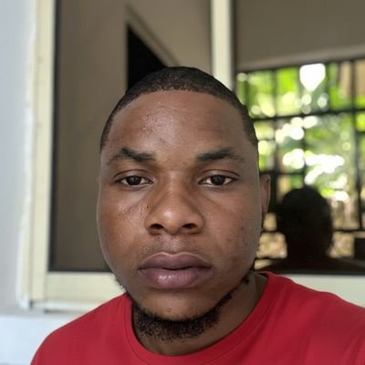 Data Analyst | Aspiring Entrepreneur | Problem Solver. Delivering insights from data.
Manchester United 🔴⚽️.