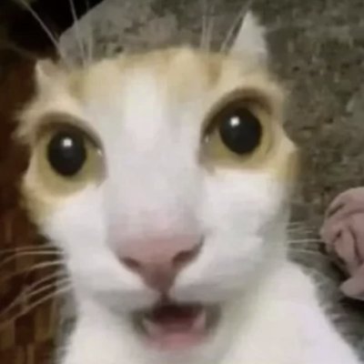 mayさんのプロフィール画像
