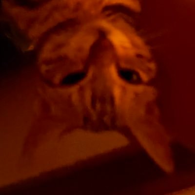 0RjpmUbA1o85010's profile picture. 日系13世