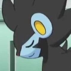 PastelPinkPlans's profile picture. 23
✧I don't really know why I'm here
✧I like a lot of things. I post about them.
✧RT heavy