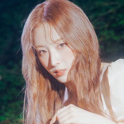 scans, edits and art for all twelve members of loona | if you’re not an orbit why are you here?