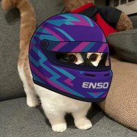 0xenk⌘🛠️ (@0xenik) 's Twitter Profile