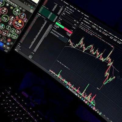 InvesterriseX's profile picture. Chart the path, own the future 📊