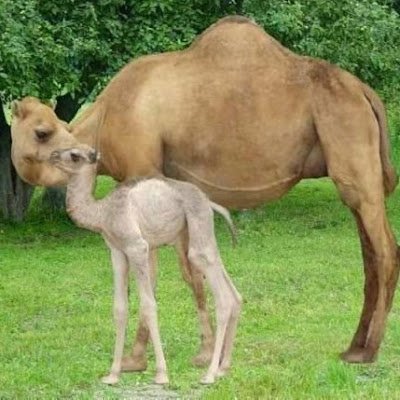 YasinHaji389411's profile picture. 