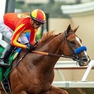 Ricky Ruiz "EL TIO BORICUA" (@enrique34293596) 's Twitter Profile Photo