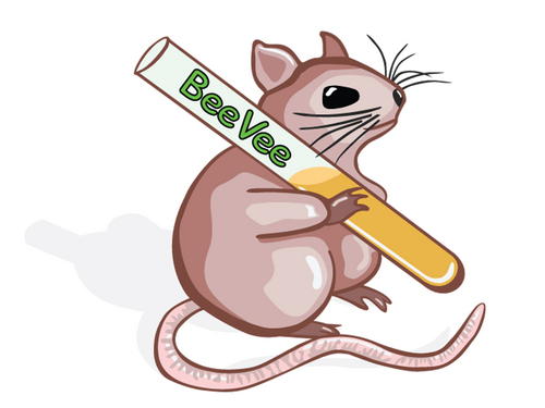 BeeVee is de studievereniging van (medische) biologie aan de Radboud Universiteit. Onze doelstelling is het behartigen van de belangen van de biologiestudent.