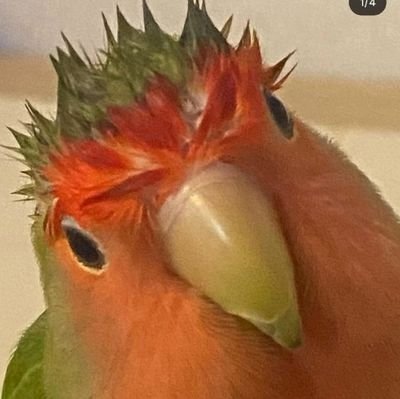 atanmış memleketim konya, seçilmiş ankara, şu an izmirdeyim so pls dont talk ab it.