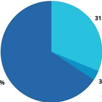 niyBb38EsA49897's profile picture. 