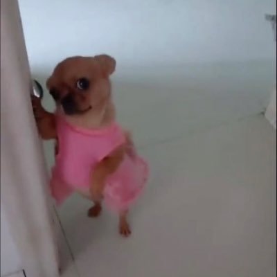 4strongurl's profile picture. ME, myself and I