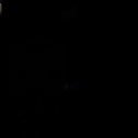 AnthonyWojciec2's profile picture. Anthony Wojciechowski