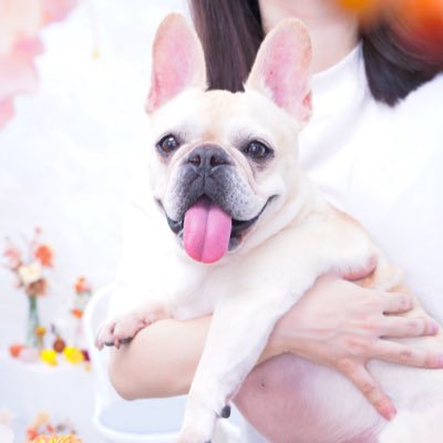 佐倉りゅうさんのプロフィール画像