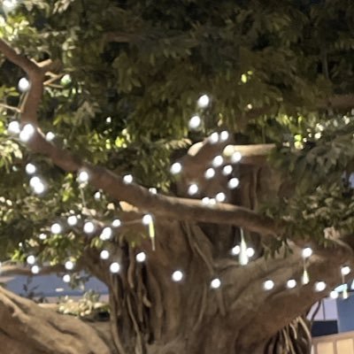 ryoo2212's profile picture. イエベ、ディープオータム、骨格ウェーブ、INFP🫠イエべ秋すぎるので活かすしかない。美容、コスメ、オートファジー、サプリメント、マシンピラティス好き♡ 美容垢フォロバ100