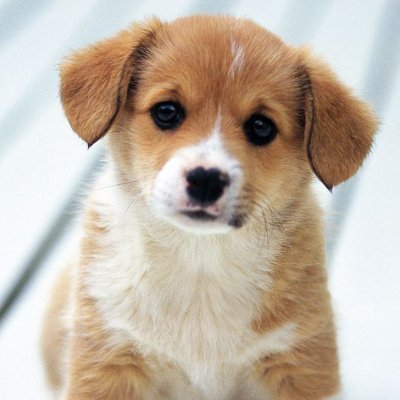 GauravS2031's profile picture. 
