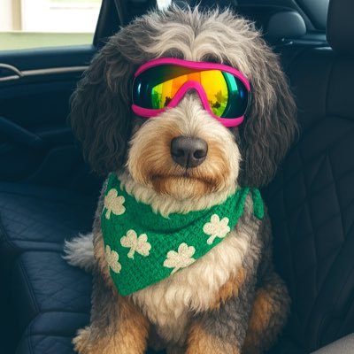 Drewseph_J's profile picture. Colorado ✖️ IU 18’🎒✖️ CLT, NC📍#Hoosiers #ManCity🩵