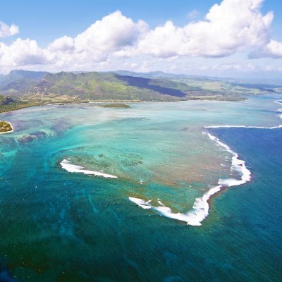 TmHnh7's profile picture. Animator