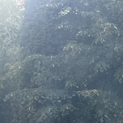 OniCamCam's profile picture. Oneida Camilo