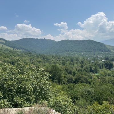 Ishfaq38637933's profile picture. IT