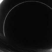 SmartdOve33's profile picture. 