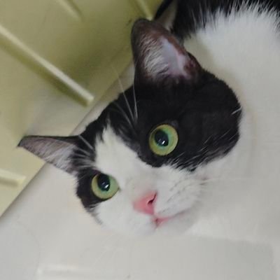 seimi10250419's profile picture. 