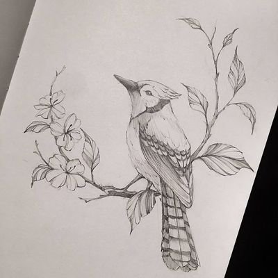 mustafa8671791's profile picture. 