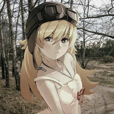sniperwolfcel's profile picture. whores, nger, fag , communists. Someday a real rain will come and wash all this scum off the streets. Idc. Don't make no difference 2 me.