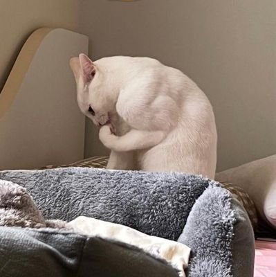 ZeraLyz23357's profile picture. marah-marah