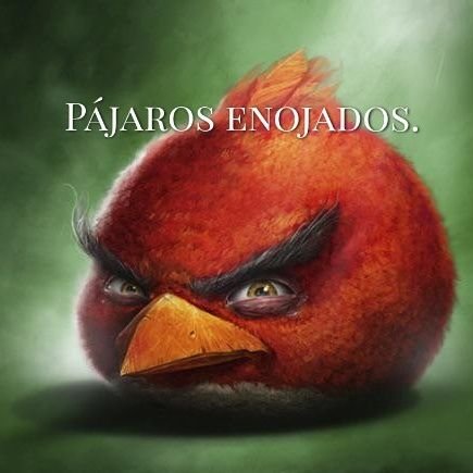 SosFAsosCHORRO's profile picture. Amante del Terror, la buena música y la EXTREMA DERECHA.
Dross mi Padre 🛐
Tablos mi General ⚛️
RICARDO FORT mi COMANDANTE🕎
🏳️‍🌈 ===💩🤢🤮🤮🤮🤮🤢🤮🤮🤢🤮🤮