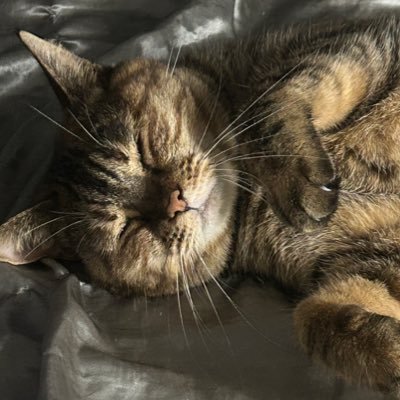 love_is_licht's profile picture. 愛についての祈り