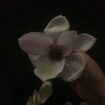 Vofr01Fbls's profile picture.