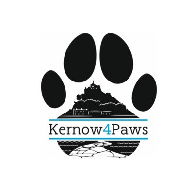 Starting Kernow4paws, luxury dog hampers from Cornwall 🌿 sharing dog friendly spots with my dog 🐾 https://t.co/UlPpMpEPRO #DogFriendlyCornwall