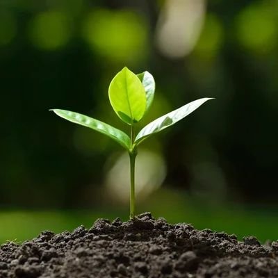 बहनों की इज्ज़त करना सीखो,
फिर चाहे वह अपनी हो या किसी और की🙏