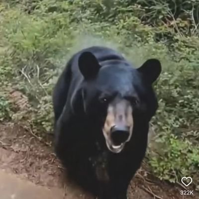 sonu735383's profile picture. 